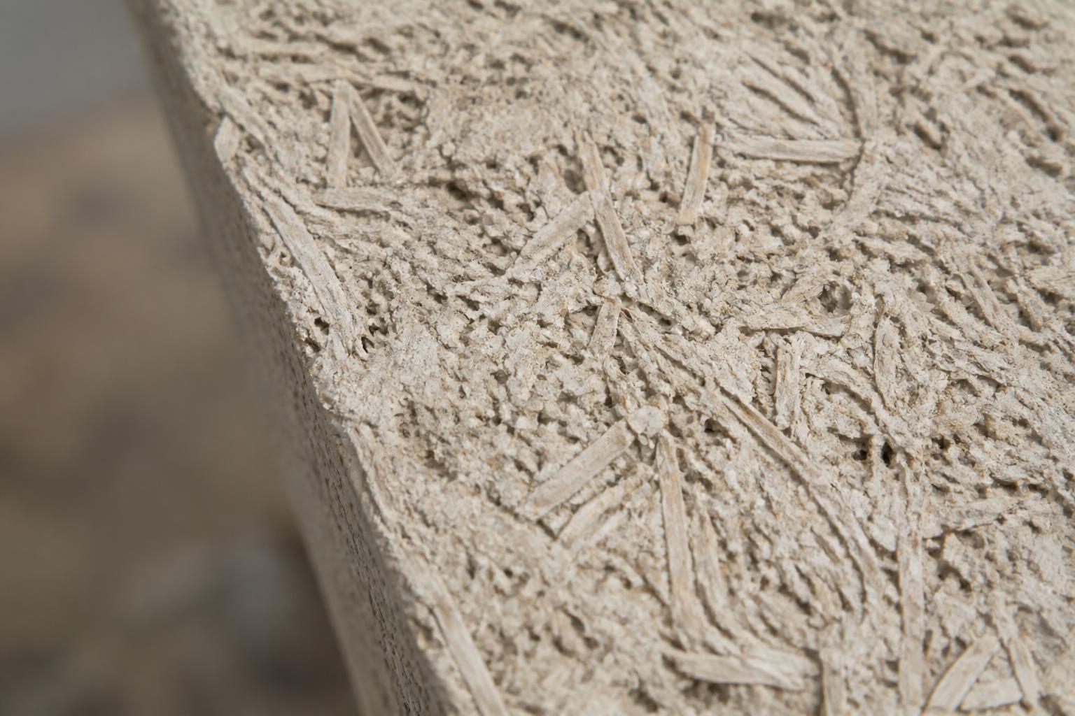 Hemp-lime insulation texture close-up